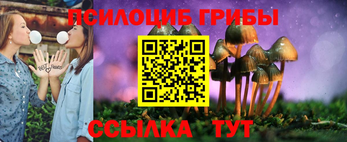 Псилоцибиновые грибы мицелий Гуково